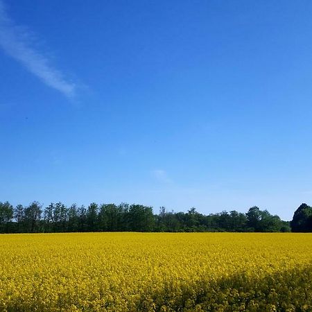 Ferienwohnung Urte In Putgarten , Kap Arkona Ruegen Buitenkant foto