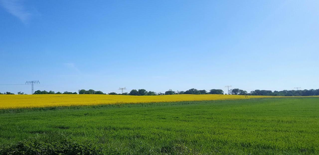 Ferienwohnung Urte In Putgarten , Kap Arkona Ruegen Buitenkant foto
